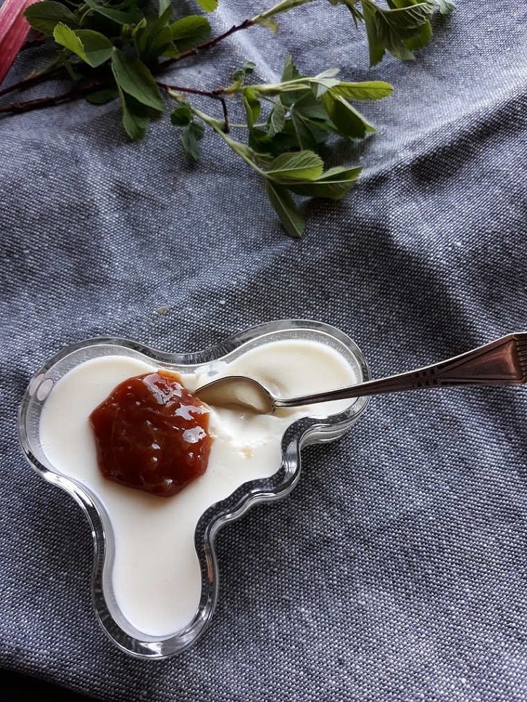 Piimäpannacotta Piimäpannacotta